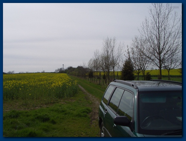 600x449 pixels (109K)